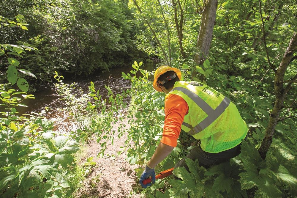 An Anchorage Park Foundation’s Youth Employment in Parks participant wears a yellow Caring for Alaska vest and trims an invasive species near a creek.